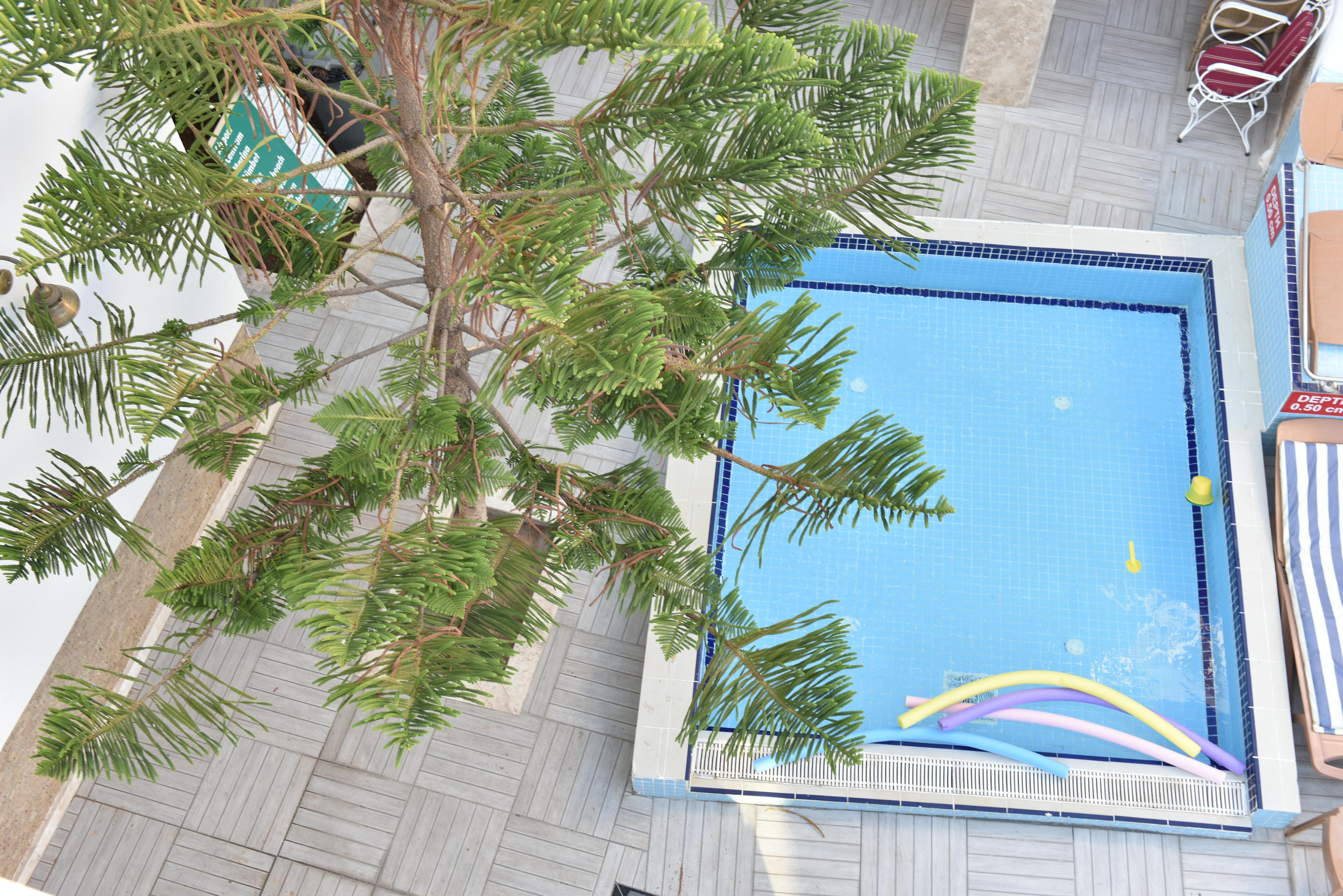 Istankoy Hotel Bodrum Eksteriør bilde